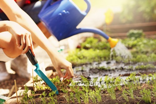 The image depicts a person gardening outdoors, using a small hand trowel to plant or tend to young seedlings arranged in neat, parallel rows in a well-maintained garden bed. The garden features rich, dark soil and fresh green foliage, indicating healthy plant growth. In the background, a blue watering can is being used to water the plants, with water visibly pouring over the soil and foliage. The environment appears to be a backyard or a landscaped outdoor space, with natural sunlight illuminating the scene, creating a warm and vibrant atmosphere. The garden layout includes a defined edge with a border between the planting area and surrounding grass, which is lush and dense. The scene captures an active moment of outdoor gardening, aligning with the services offered by Landscapers Tooting for garden maintenance and landscaping in Tooting, South London, with natural elements and plant care clearly visible and emphasized.