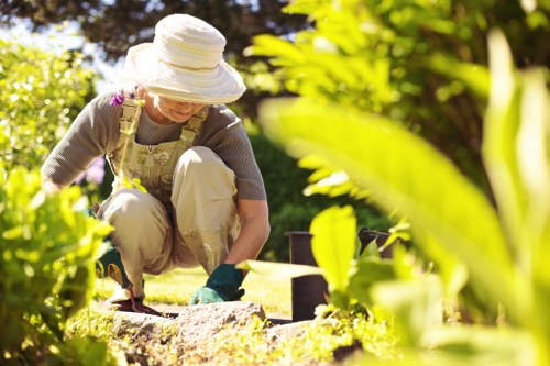 A mature gardener, wearing a wide-brimmed hat, beige trousers, and gardening gloves, is kneeling in a lush outdoor garden space, carefully planting or tending to a flower bed bordered by soil and paving stones. The garden features a well-maintained lawn of dense, green grass in the foreground, with vibrant green leafy plants and shrubs nearby. In the background, a hedge or row of bushes provides a natural boundary, and dappled sunlight filters through the trees, casting bright, natural light across the scene. The garden area appears orderly and thoughtfully landscaped, with a focus on flower bed creation, demonstrating professional gardening skills. The setting suggests a residential outdoor space in Tooting, conducive to gardening and landscaping services offered by Landscapers Tooting, aligning with their expertise in flower bed design and general outdoor maintenance. The overall environment is warm and inviting, showcasing the natural tones of the greenery and the flora, with a clear emphasis on outdoor garden work suitable for end-of-summer or early autumn seasons.