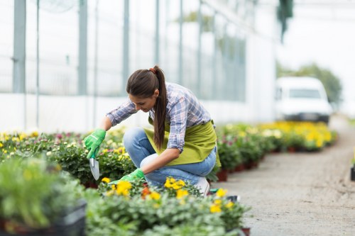 Garden waste and landscaping pricing in Tooting with transparent quote details