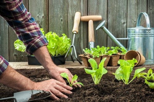 Landscaping team enhancing a Tooting backyard