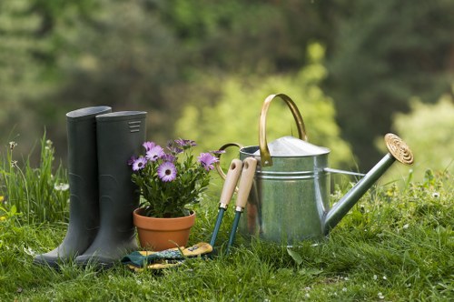 Shed installation setup in a Tooting garden with local property access considerations