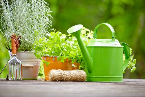 A close-up view of a gardening workspace on a wooden surface, featuring a collection of gardening tools and plants. To the left, a metal hand fork with a wooden handle is placed next to a potted herb with grey-green, wispy foliage. In the center, a terracotta pot contains lush green leafy plants, likely herbs, surrounded by natural sunlight. A coiled jute twine lies nearby, ready for gardening activities. To the right, a bright green plastic watering can with a large spout and handle is positioned next to the potted plants. The background shows a blurred outdoor garden setting with rich greenery, suggesting a well-maintained garden in Tooting. This scene emphasizes gardening tools, plant care, and outdoor greenery, aligning with landscaping and gardening services provided by Landscapers Tooting, and reflects a typical garden arrangement used for flower bed creation and general outdoor maintenance in the local area.