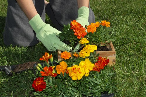 A person wearing light green gardening gloves is planting a variety of brightly coloured flowers, including orange, yellow, and red blooms, into a wooden planter box on a well-maintained lawn. The garden features a lush green grass area with a neat edge, and the background shows additional greenery, possibly shrubs or small trees, under natural daylight. The scene appears to take place in a residential front or back garden, with a focus on outdoor planting and garden maintenance that a professional landscaper from Tooting might perform as part of their gardening services. The vibrant flower colours contrast with the rich green foliage, and the overall setting suggests careful gardening and landscaping work in a typical UK outdoor space, suitable for enhancing curb appeal or garden aesthetics within a residential area in Tooting or nearby.