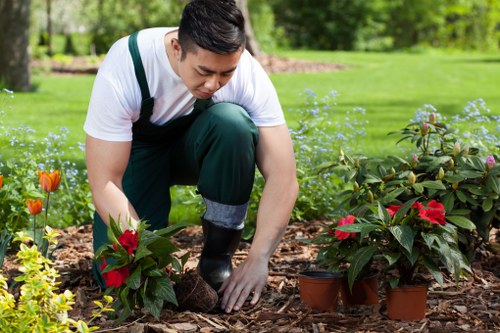 A person planting small potted shrubs in a flower bed within a garden that features a well-maintained, lush green lawn, bordered by a mature hedge and a variety of flowering plants with red, orange, and yellow blooms. The garden area is bordered by a mixture of soil and wood mulch, with visible garden tools nearby, indicating ongoing gardening work. The background includes trees and a neatly edged grassy space, suggesting a private outdoor setting in Tooting. The scene is illuminated by natural daylight under partly cloudy skies, emphasizing vibrant plant colours and fresh, healthy growth, with visible attention to garden landscaping and outdoor maintenance services provided by Landscapers Tooting.