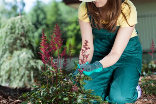 A person with red hair, wearing a yellow t-shirt and teal gardening overalls, is kneeling on the ground in a garden, tending to a flower bed. They are wearing gardening gloves and handling a plant with tall, slender, pinkish-purple flower spikes. The flower bed contains dark, rich soil and various green foliage, bordered by a well-maintained lawn with evenly cut grass. In the background, there are lush, leafy trees and shrubs, indicating a well-established garden outdoor space. The scene is set in mild weather with natural lighting, suggesting a typical day of outdoor garden maintenance. The garden appears carefully landscaped, possibly maintained by professional garden services such as Landscapers Tooting, focused on enhancing local outdoor environments and garden aesthetics.