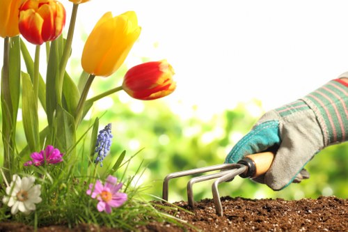 A close-up view of a garden with vibrant, multi-coloured tulips in yellow, orange, and red, along with pink, white, and purple flowering plants, situated beside a neatly maintained grassy lawn area. The soil appears dark and moist, likely prepared for planting, and a hand wearing a gardening glove is using a small hand rake to loosen or aerate the soil in preparation for gardening work. In the background, there is a blurred natural setting with greenery, suggesting a well-tended outdoor space in Tooting, London, suitable for comprehensive garden care and landscaping services provided by landscaperstooting.co.uk. The scene highlights the active process of planting and soil preparation in a typical residential garden environment during daytime with bright, natural light conditions.